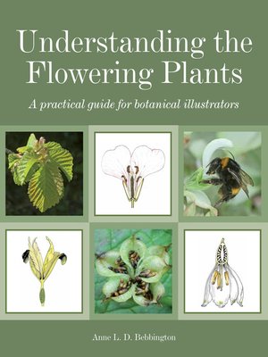 cover image of Understanding the Flowering Plants